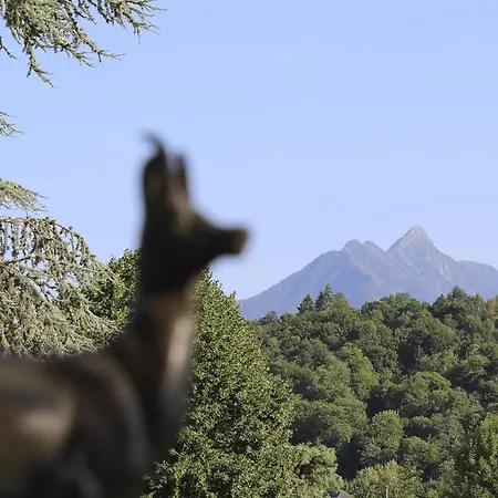 Les Isards Au Coeur D'argeles-gazost Argelès-Gazost